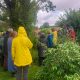 Rundvisning i skovhave